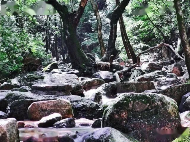 逃离灰色调房屋